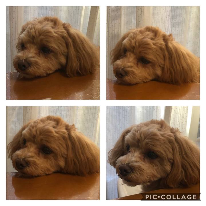 E3c9d3e4 040f 4c6b af68 59de93534002 1611016495488