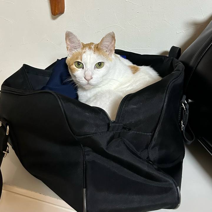 E3c9f7dd 3eb9 4991 b1aa fc1ab329524f 1689077707987