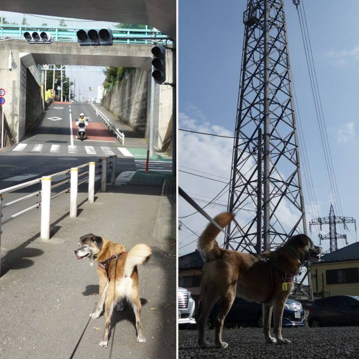 E3c9f92a 46f1 4b7f 8755 7cefe80e3ca4 1537233873672