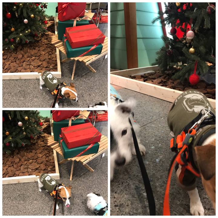 E3ca2736 6a01 414e bb25 ab70c92e8e33 1544949623592