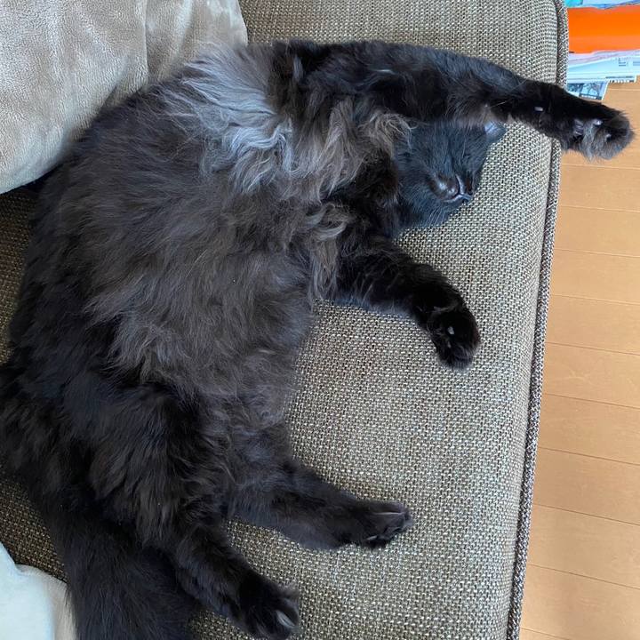 E3ca4087 5908 4ac2 a89d 4f2d0a78f608 1636444144789