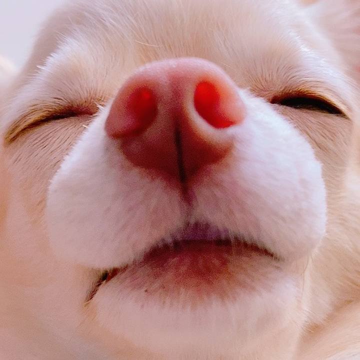 E3ca7252 ac12 479c b908 04d9e2c4b4af 1634391096343