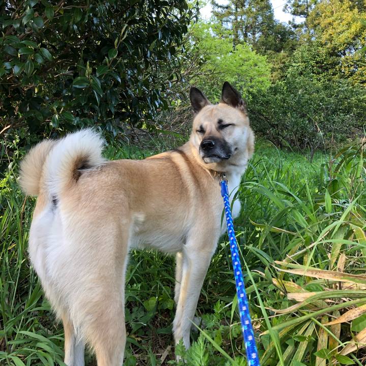 E3cac25c 6141 4470 978f d732e06d3104 1523881619478