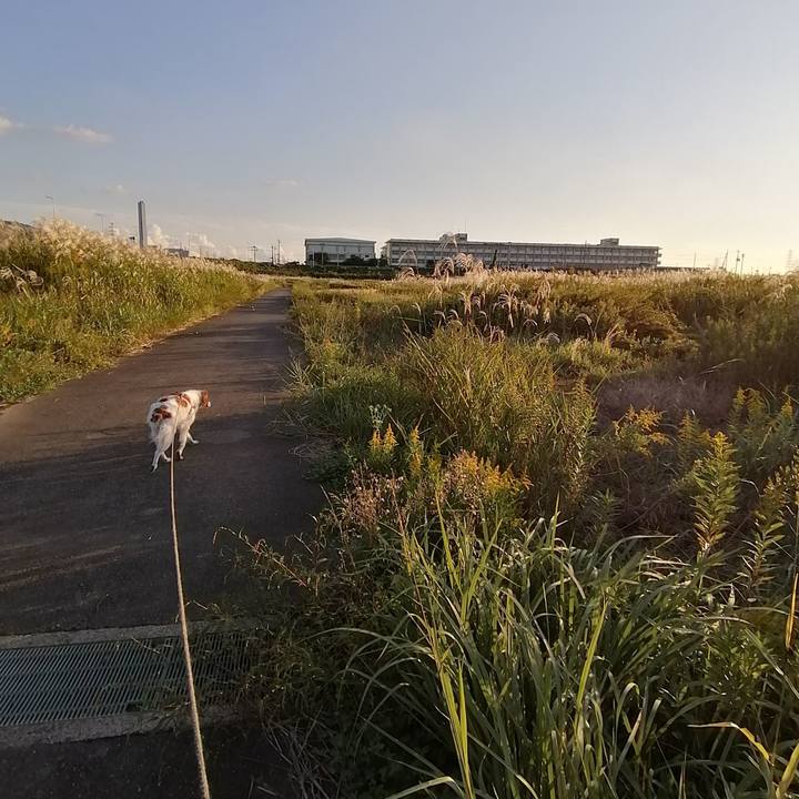 E3cae89b cb48 4167 8c78 646783bce143 1572097991029