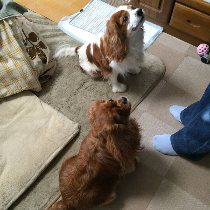 E3cba670 71ad 4385 919a 398dce59d355 1529242199011