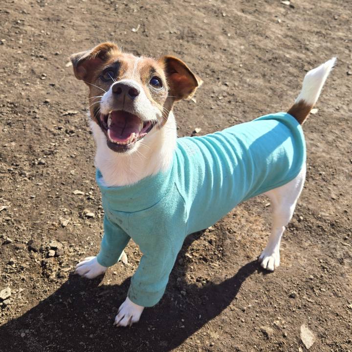 E3cbd9cb 3231 4db0 b14e 760c130c9e6b 1767072992759