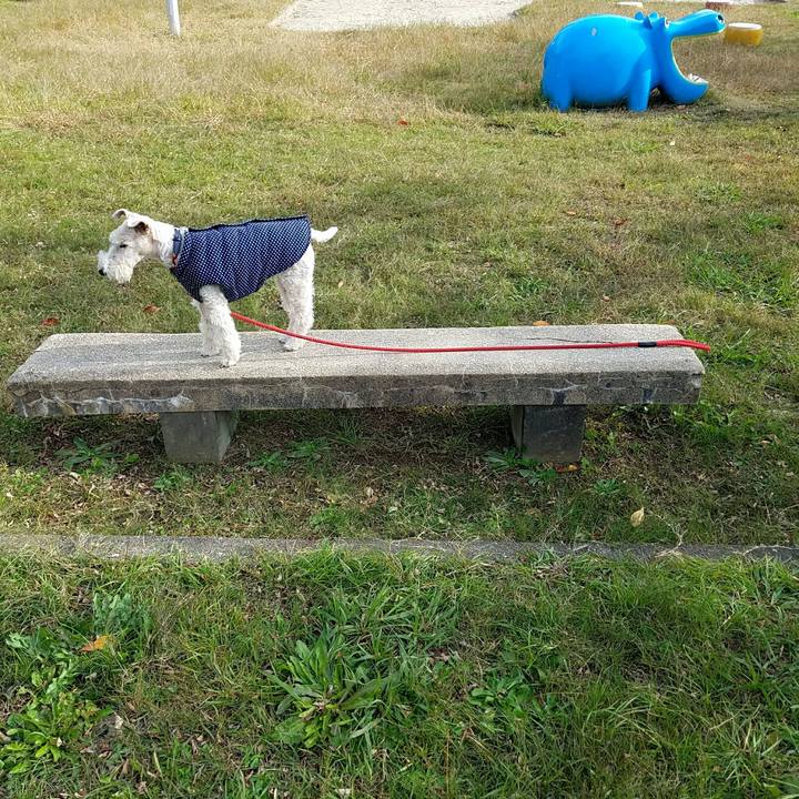 E3cc08ac e848 4ff7 bb7e 585c67696095 1511680964853