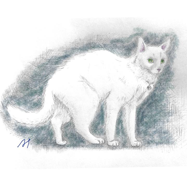 E3cc2e44 d932 4bac 947d 9d1f7723c5dd 1732178752152