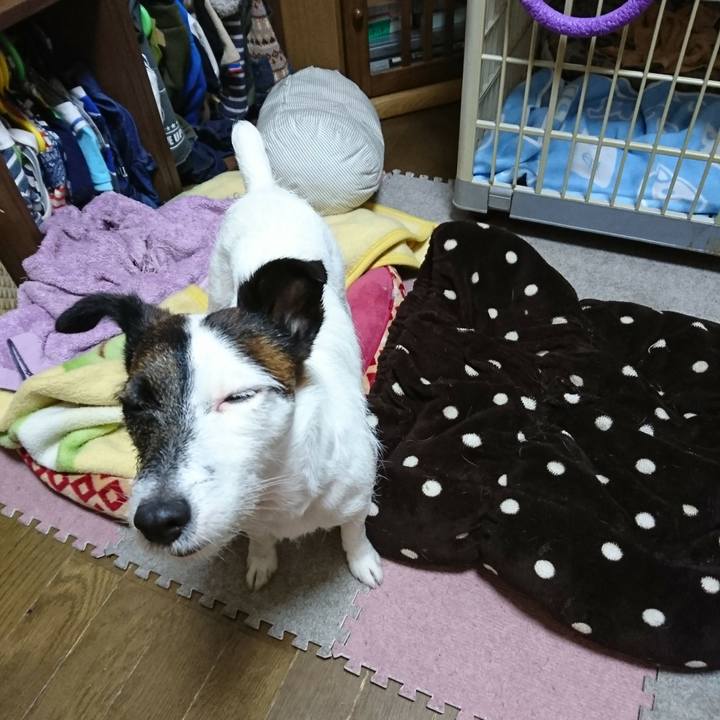 E3cc3d93 28dd 48a7 a661 b8be4b79aa03 1513772395930