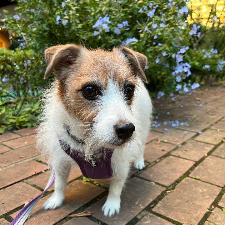 E3cc83a0 a99f 408b a881 6d0dfd6a6bdb 1698620572804