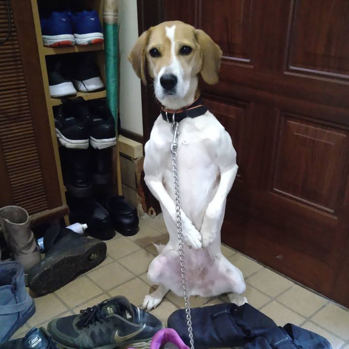 E3cc8c63 5db1 4e9a 90e8 c7b407aa085e 1645018160398