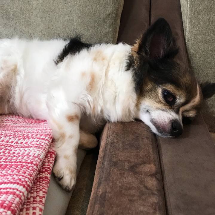 E3cc924e 2ddc 485b 8bd4 5ac7805cd277 1600479377257