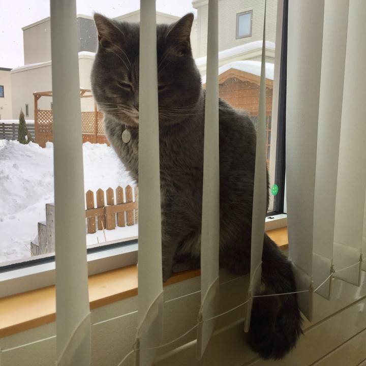 E3ccd2d2 59b1 4d5e a86a 1ef86ba256dc 1518228601099