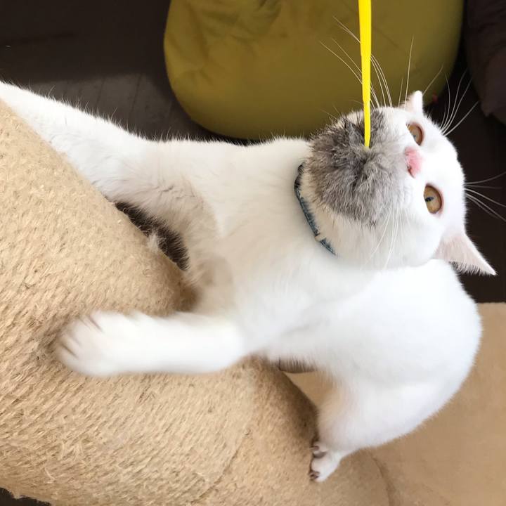 E3ccdfa0 4c59 4704 bcf1 d6dc543b1895 1581478814303