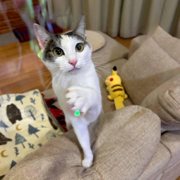 E3ccff57 e63f 40de a009 29f0b6736b4a 1736509918663