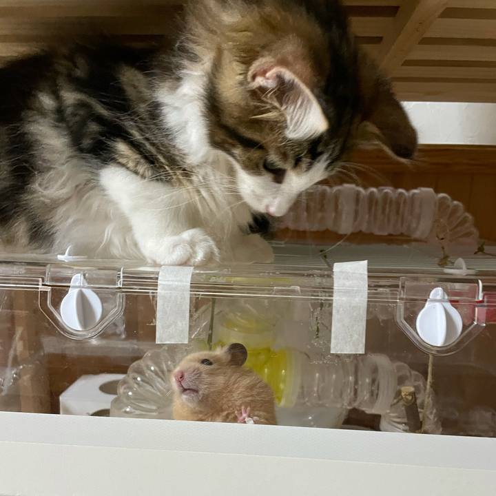 E3cd2c31 c209 40d4 b17f a2c5592537a4 1632944131104