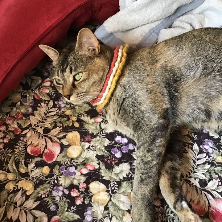 E3cd8708 24c2 4925 9139 37c5c4f3c867 1623113508279