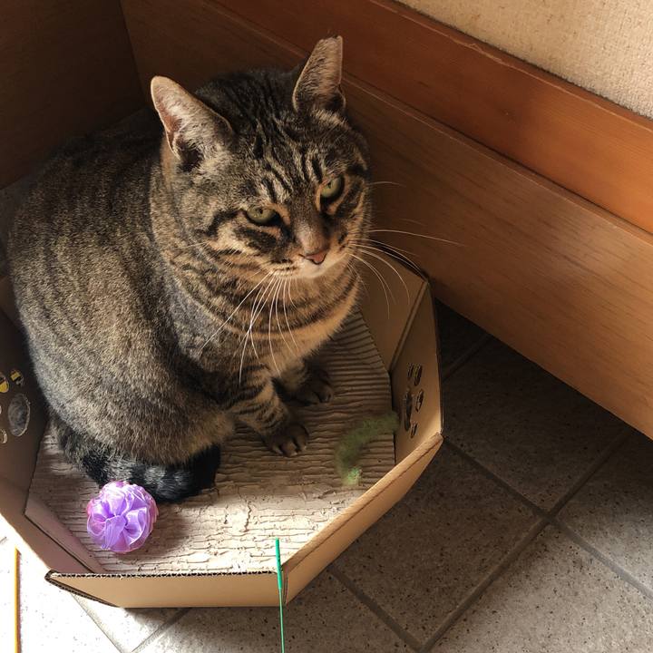 E3cd96e5 132f 41b0 817d 9c4e805d0a20 1550293043144