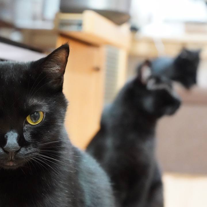 E3cdafdb 2761 4e6e ba78 0730b248c748 1571960407686