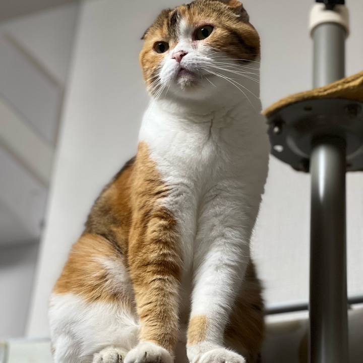 E3cdd41b 1d3f 4bb4 825c 51cf94cd05fa 1686307983806