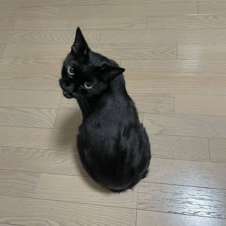 E3cdf44f 6ec6 4ed6 ade4 1e26994c08af 1727184388722