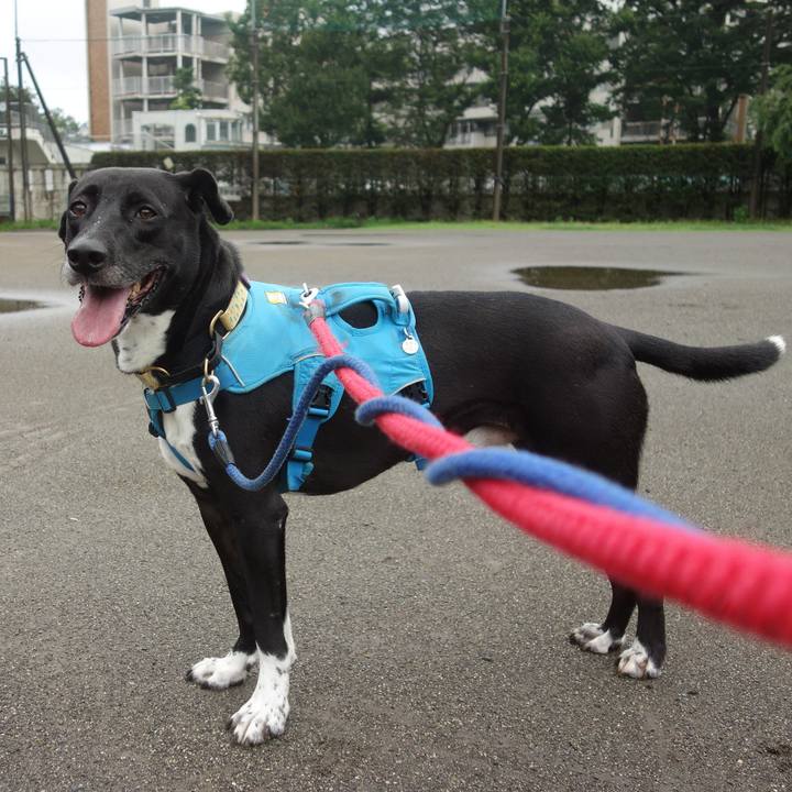 E3ce507a 94dd 4701 ae25 a69ce94d76d8 1626309286049