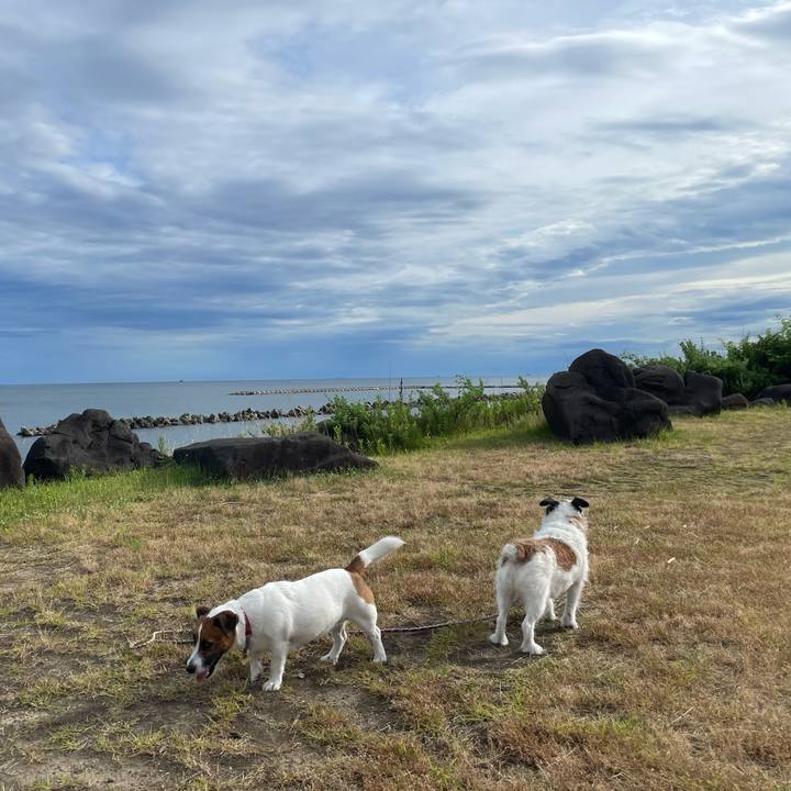 E3ce58a0 a0f4 46a6 8cef 96c9675d98d3 1752706030465