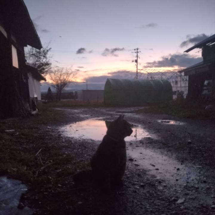 E3ce709b b0bb 4d1e 9d0f af6fc409d26f 1668549534765