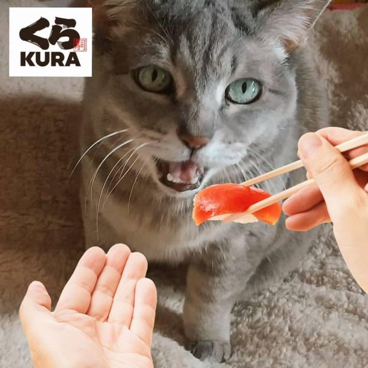 E3ceab5f 8bc1 4c95 9ebc 59a0eda8fa45 1727990348598