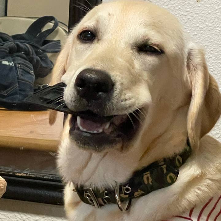 E3cead29 53ed 484d ac04 82506491a112 1621295575285