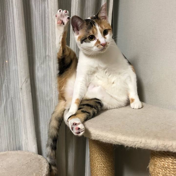 E3cef61c a952 4305 92eb 3f1b5f5dd70d 1585143577832