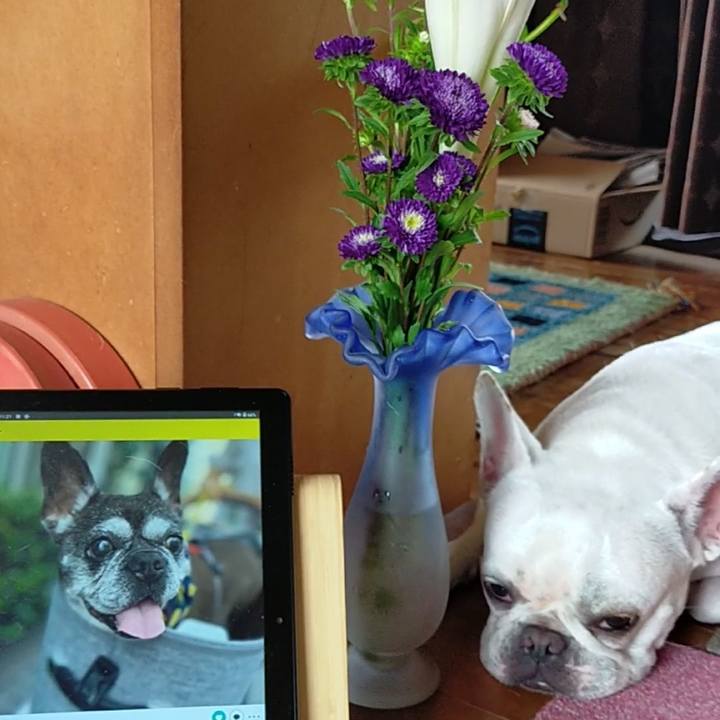 E3cf1e1d 7397 4d64 9773 9b766f09a436 1662603952150