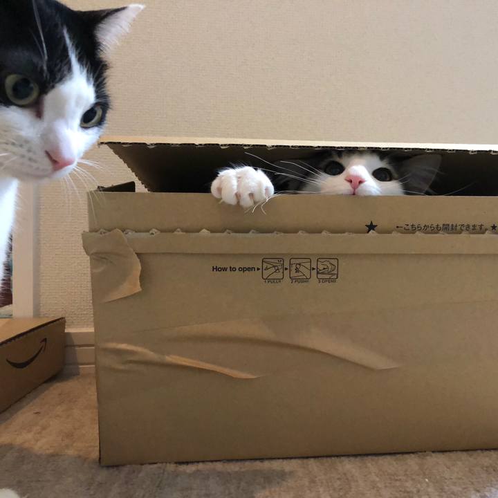 E3cf36b9 ecf2 4c3e a7e9 fbaff7595379 1516843370099