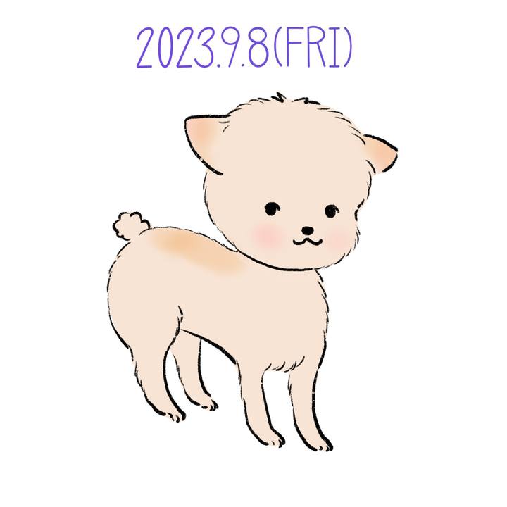 E3cf5028 7adb 40c0 bd27 a96ea049bb87 1694181700887