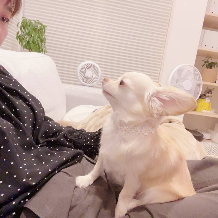 E3cf6e97 4c84 418a 880a 7a6e9706543c 1696424917664