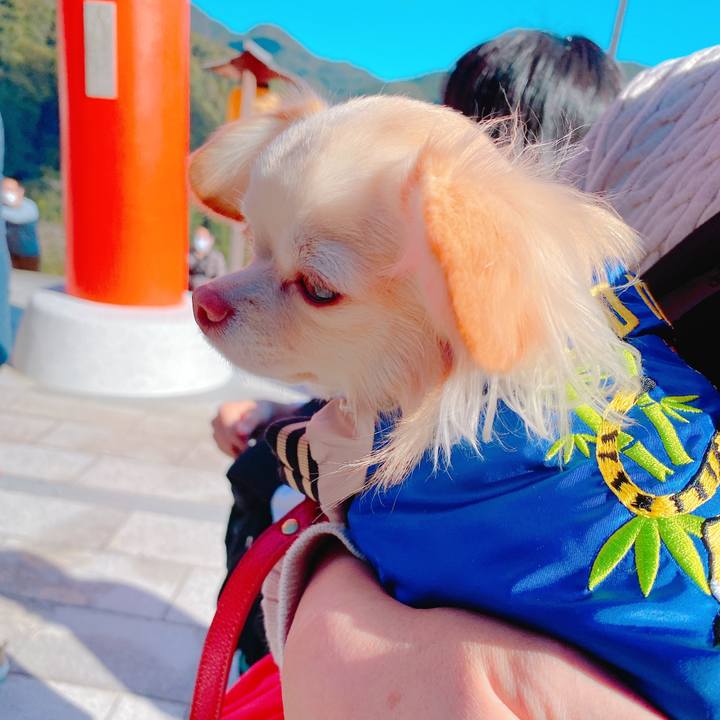 E3cf79b7 3be0 4ef7 ab47 a20ab8042947 1641369642036