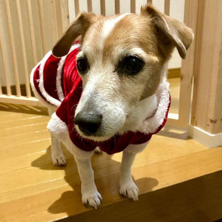 E3cff251 4a26 4a14 a975 5404aa6ce968 1703331597998