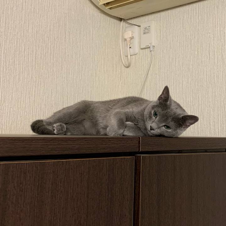 E3d00662 d574 43af bda4 18c5747cf0bb 1577134437399