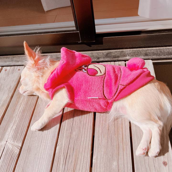 E3d00e88 27c9 4330 9b90 409b9c9a0d54 1668823057908