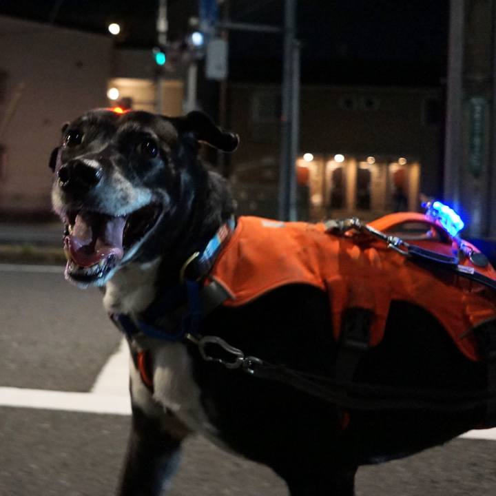 E3d01da5 fcfd 432d 9f7d eba3aa9ecc6a 1758020454096