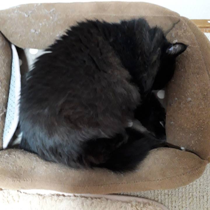 E3d01df3 4825 4318 8d3a adf356f4b920 1522145112834