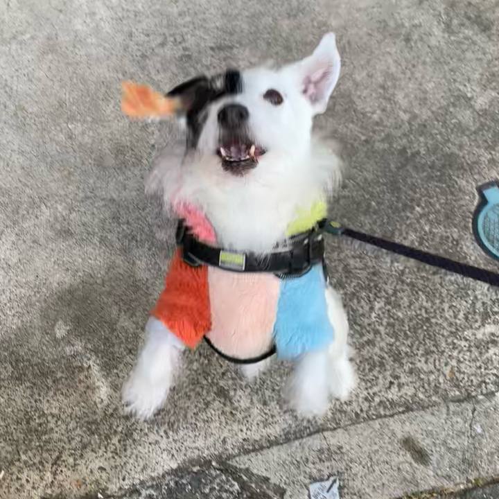 E3d0a457 8e9c 4da7 b3a3 7c7b2e21576d 1736121048234