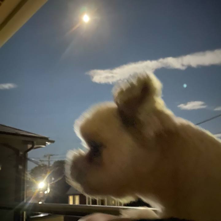 E3d0b7e0 2d17 4347 8807 620127e9ac83 1726575855854