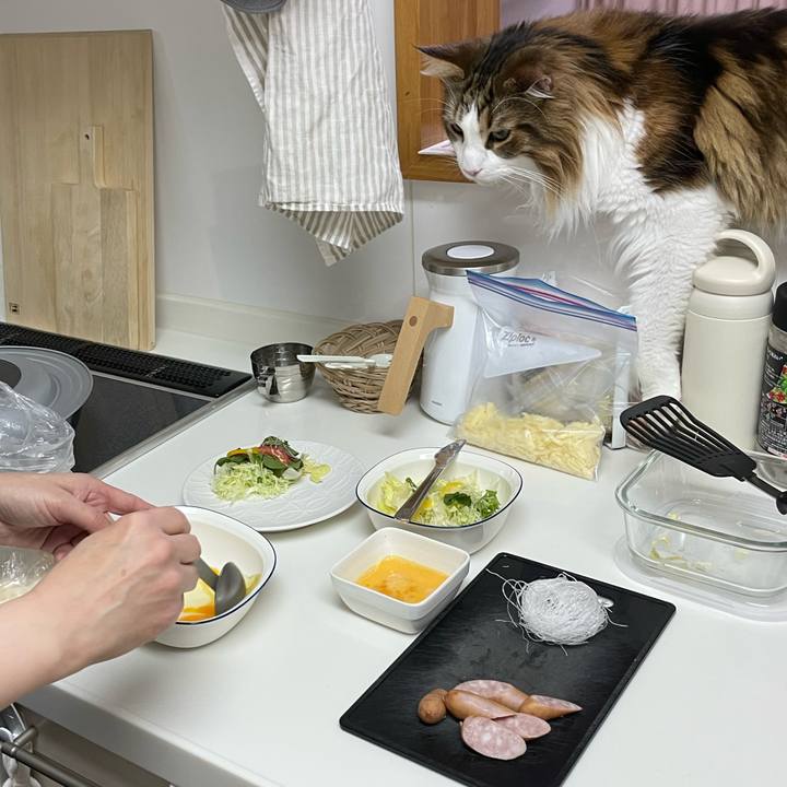 E3d0c034 063d 4fb1 9155 470463e79e84 1673387313491