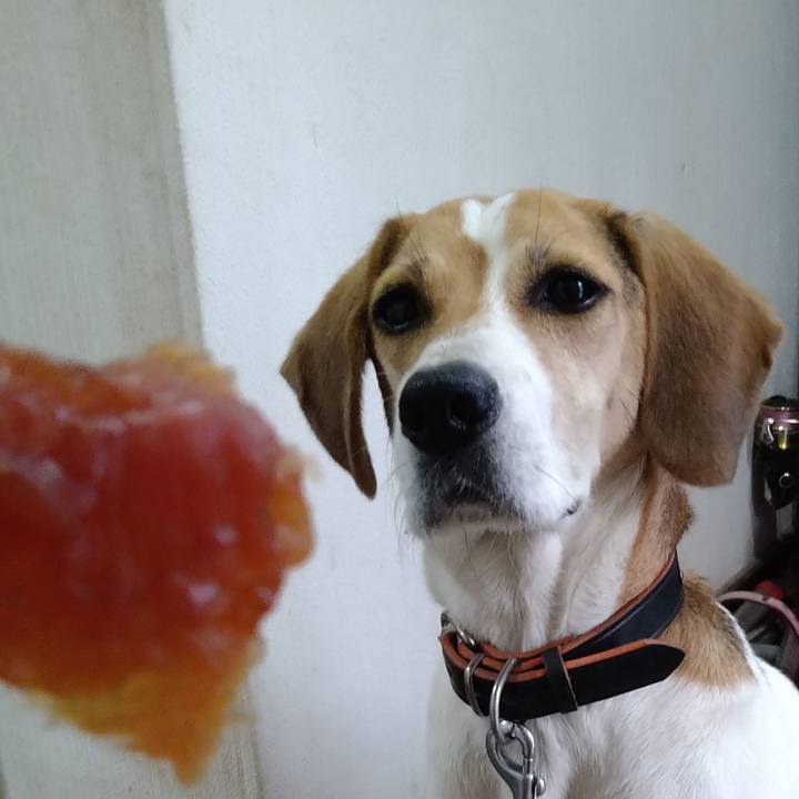 E3d0d43c f769 46f6 ab06 1339ca101b75 1631349731088