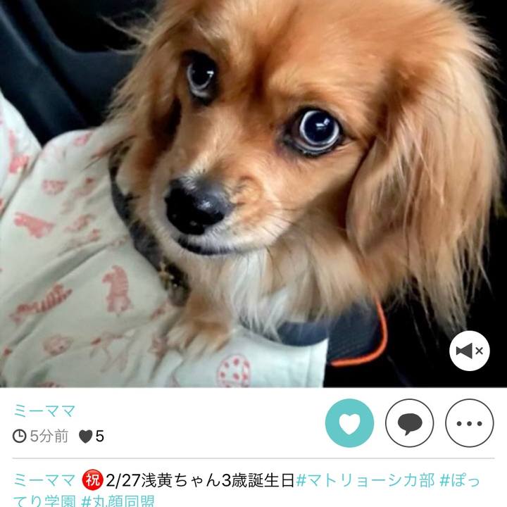 E3d0db6d 821c 42b9 b2ed b36fdec506e4 1582973671075