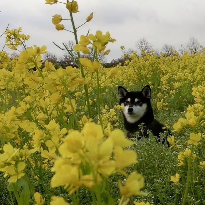 E3d153cc 12a6 4d6c 857f 465112b16921 1524462939237