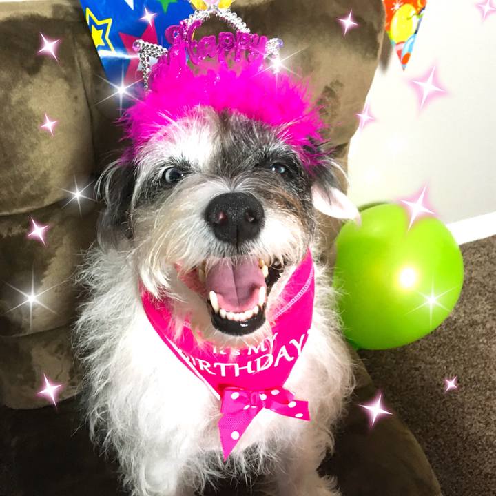 E3d1672f f661 417c 9c37 33a8d72e6d2b 1581460248039