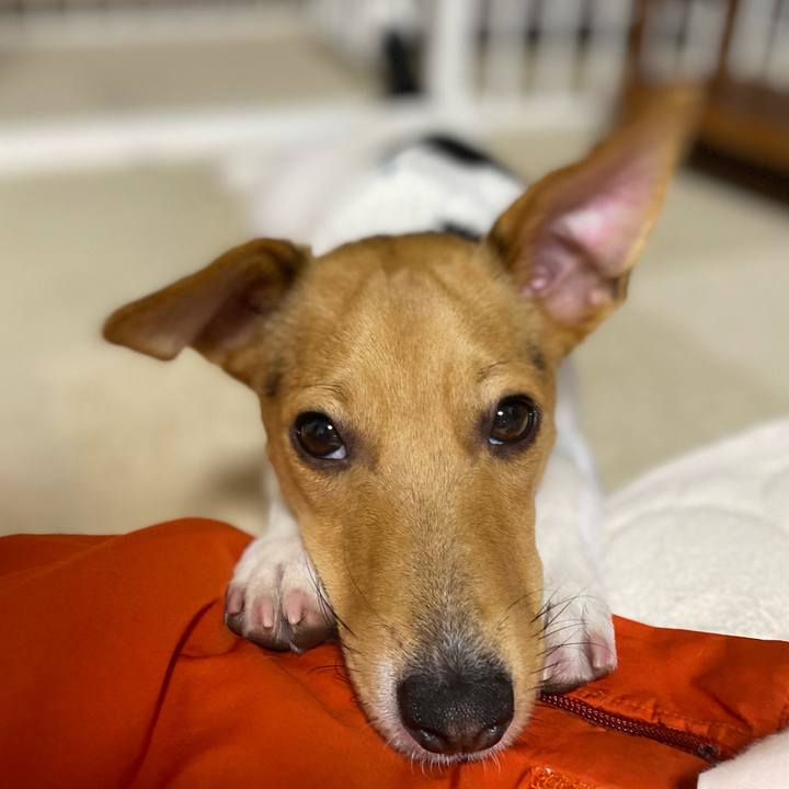 E3d16958 6d51 4d18 bc54 8891456a99a3 1764625440230