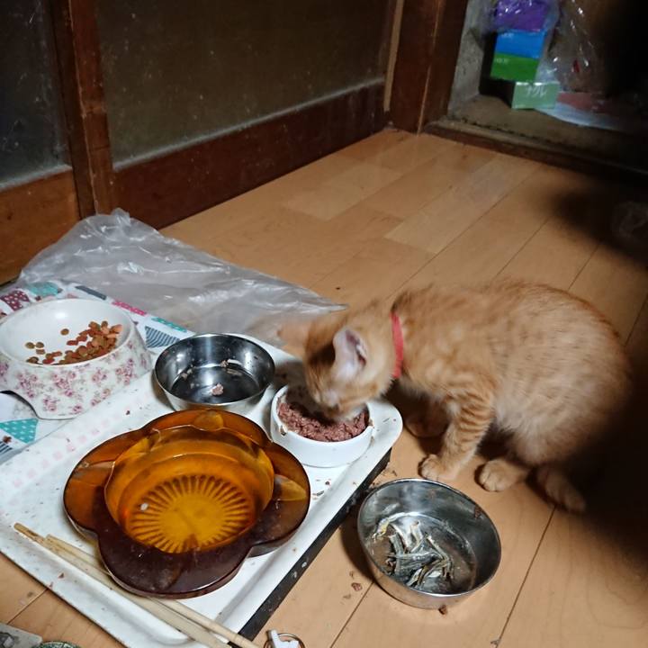 E3d172c2 4c97 4ae0 a6d6 cd29fbe1e9b7 1631651703870